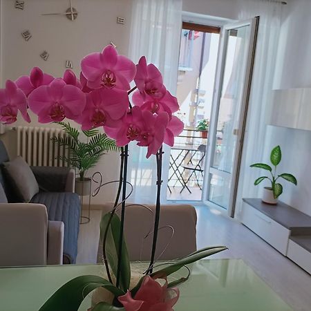 Apartment Jessy بافينو المظهر الخارجي الصورة